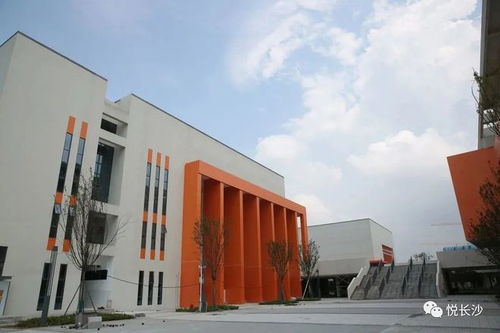 引入名校 長(zhǎng)沙這個(gè)片區(qū)教育配套升級(jí)