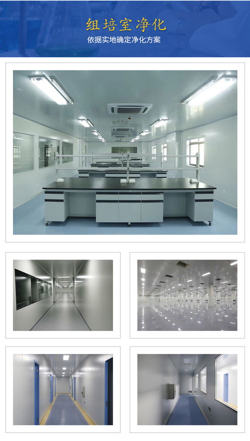 貴州與廣西組培技術(shù)交流 攜手推進區(qū)域農(nóng)業(yè)創(chuàng)新發(fā)展